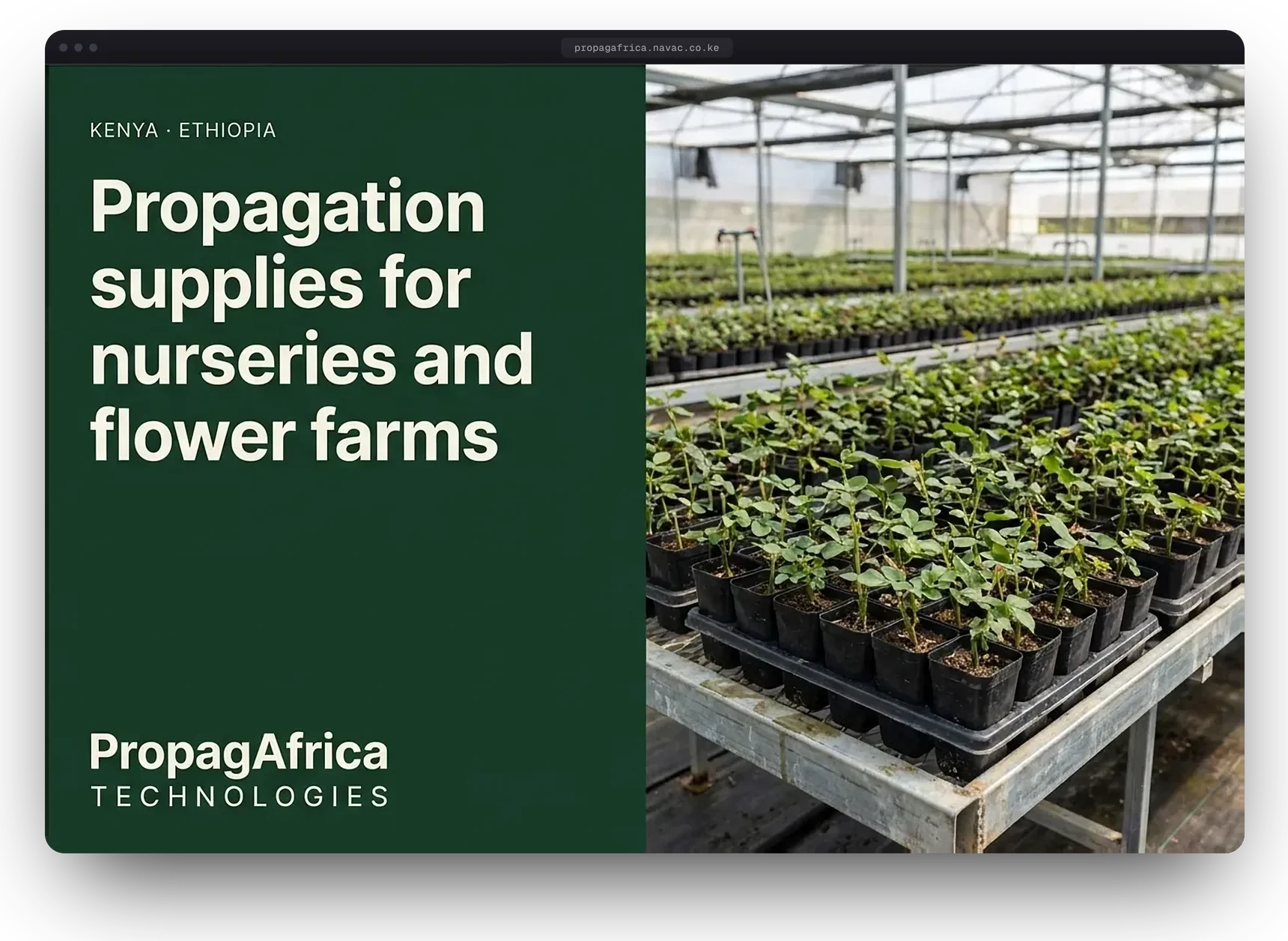 PropagAfrica Technologies website